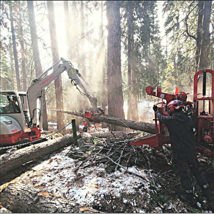 Jeremiah's Tree Service business image in Reno, nevada